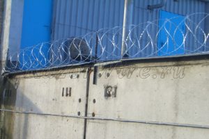 Забор бетонный Егоза